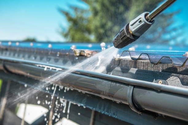 Best Roof Pressure Washing  in Allegan, MI