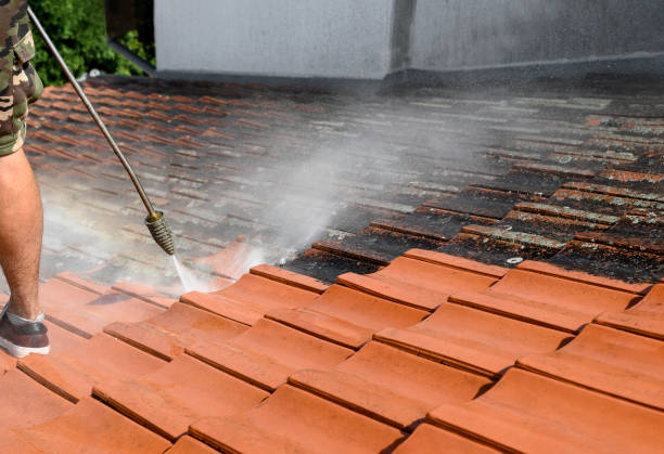 Best Residential Pressure Washing Services  in Allegan, MI