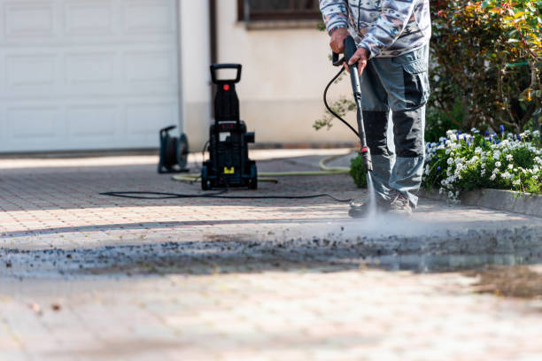 Best Roof Power Washing Services  in Allegan, MI